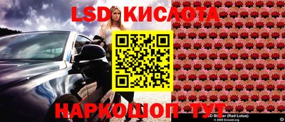 мдпв Гатчина