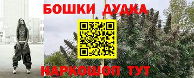 мдпв Гатчина