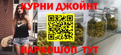 мдпв Гатчина