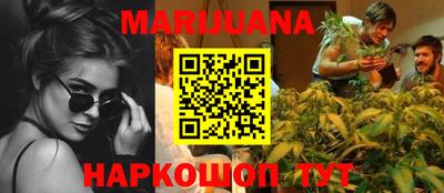 мдпв Гатчина