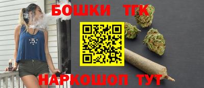 мдпв Гатчина