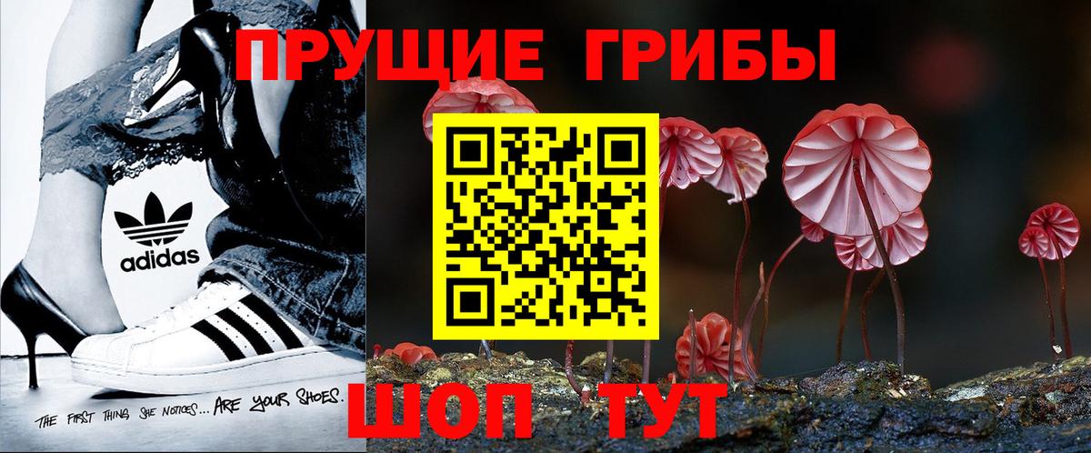 Псилоцибиновые грибы Cubensis Барабинск