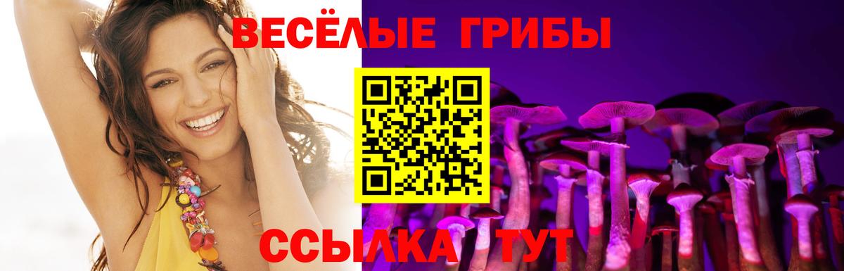 Галлюциногенные грибы мицелий  Вход с VPN  Барабинск  Галлюциногенные грибы мухоморы 