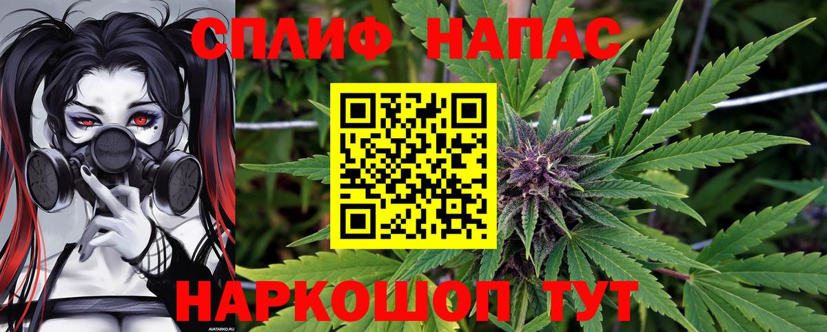 Каннабис MAZAR Барабинск